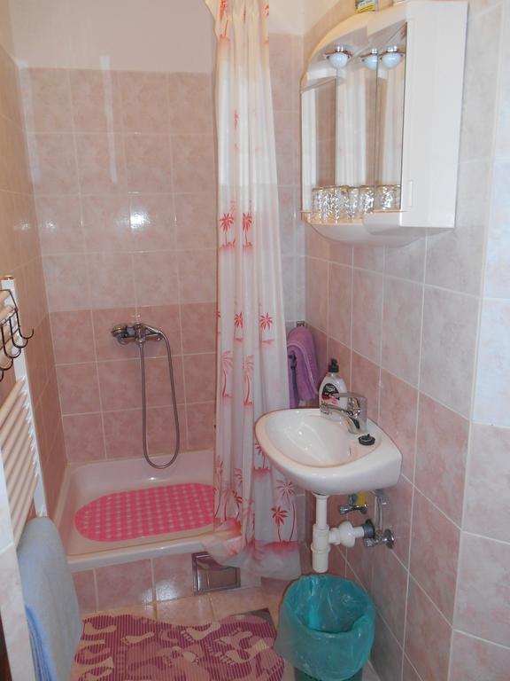 Apartamento House Mihaela&Nina Selište Drežničko Exterior foto