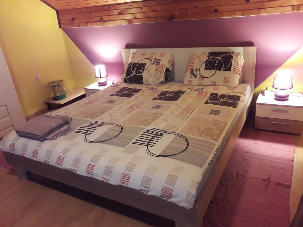 Apartamento House Mihaela&Nina Selište Drežničko Habitación foto