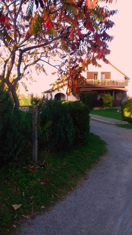 Apartamento House Mihaela&Nina Selište Drežničko Exterior foto