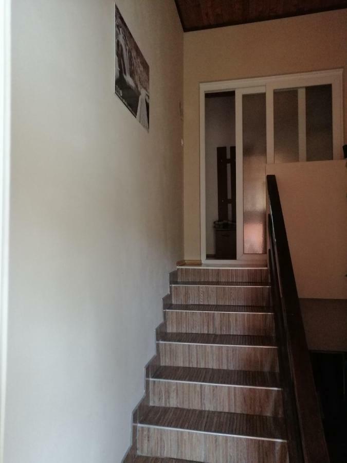 Apartamento House Mihaela&Nina Selište Drežničko Exterior foto