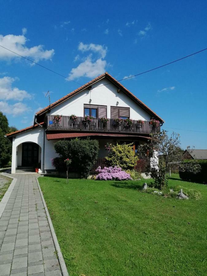 Apartamento House Mihaela&Nina Selište Drežničko Exterior foto